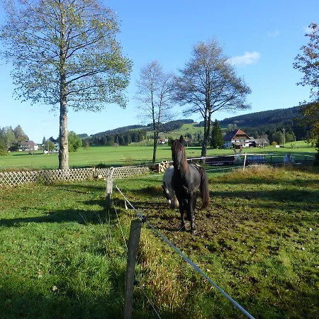 Muehlencafe Breitnau